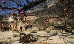 <b>更是把利用和粉饰功能高度同一正在</b>